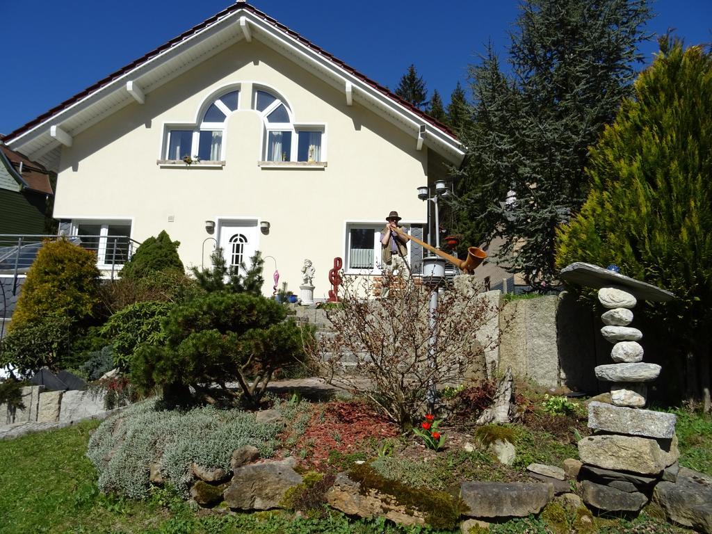 Ferienwohnung Hermannstein الميناو المظهر الخارجي الصورة